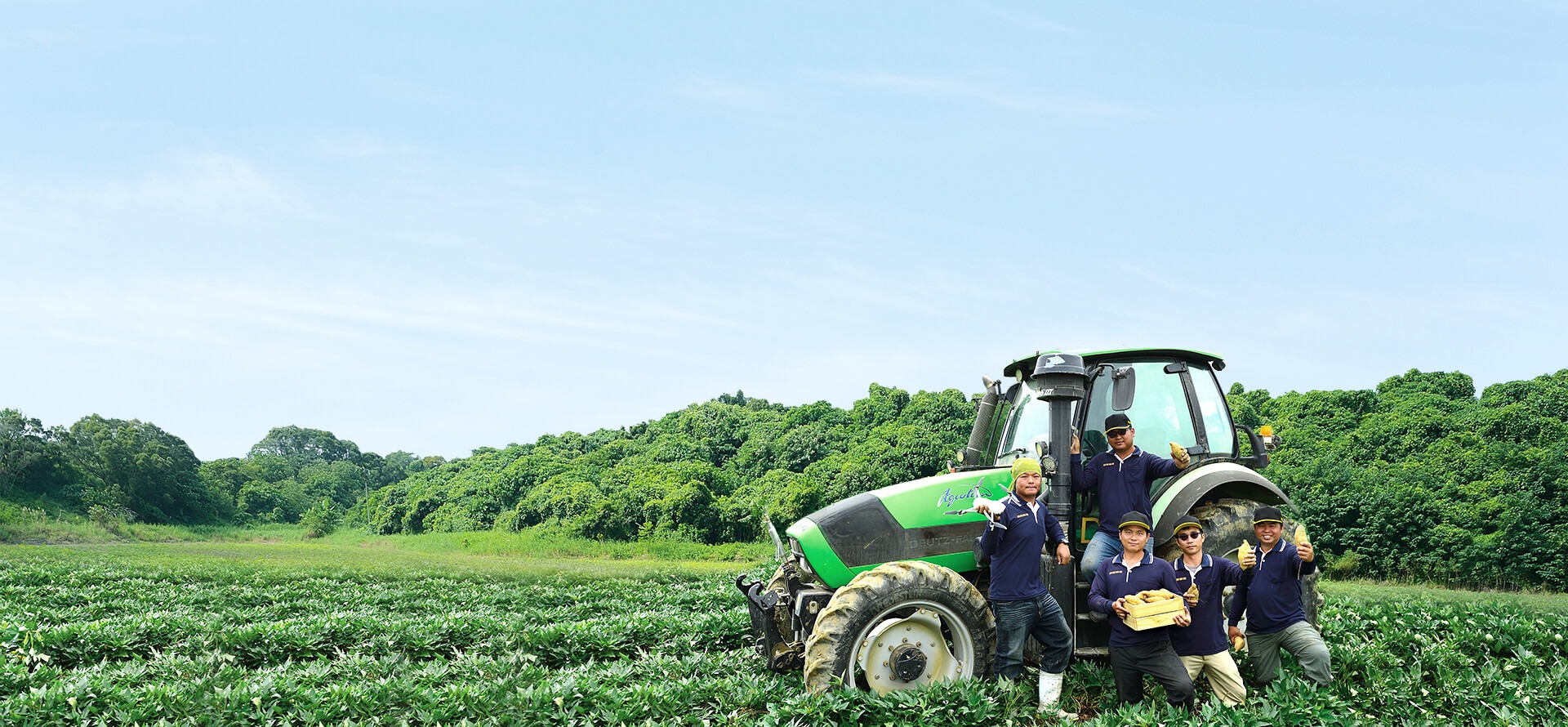 From Farm to the Table