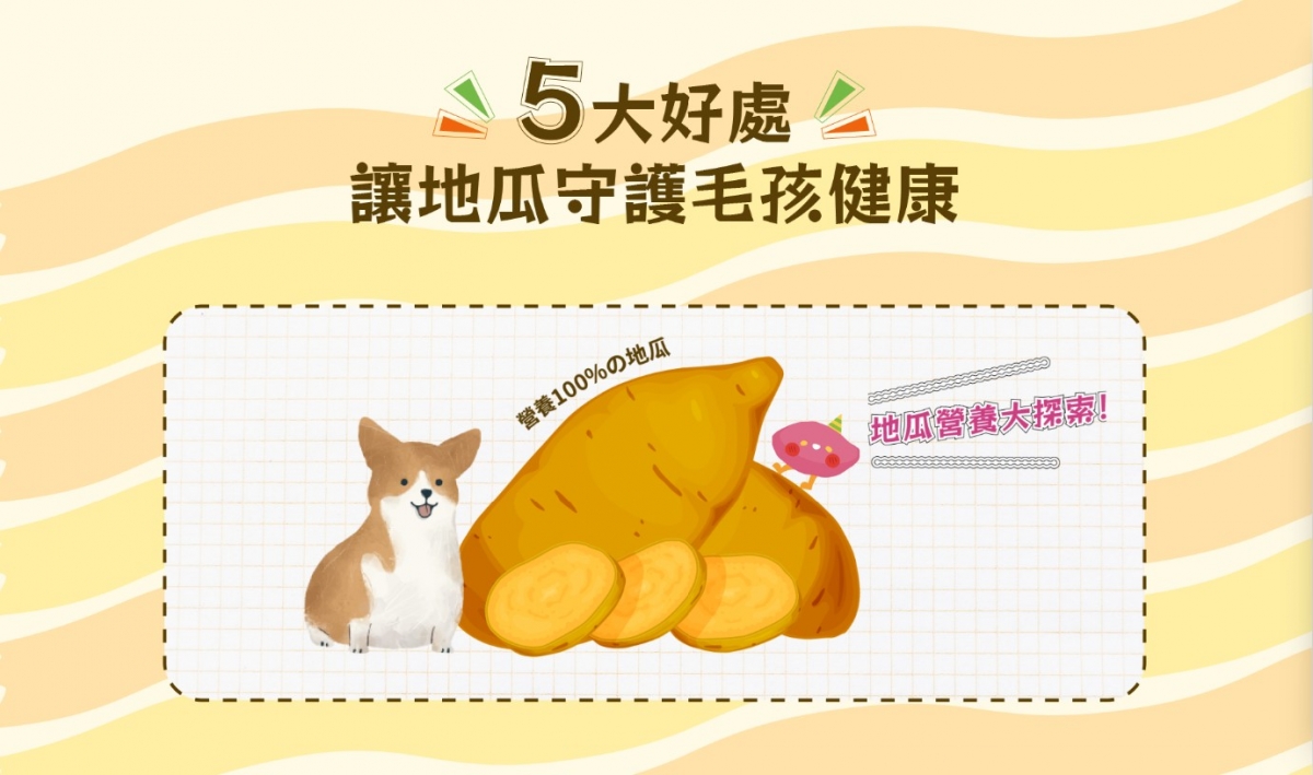 messageImage_1767591602497_0